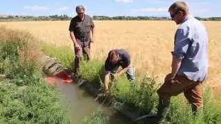 Lessons In Wyoming With Founders Brewery and Briess Malt & Ingredients