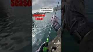 Zman Stealthblade Chatterbait #bass #fishing #largemouthbass #googan #norm #justfishcatches