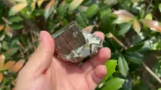 Natural AAA Quality Pyrite Crystal Cluster Cubic Mineral Specimen #RMI621