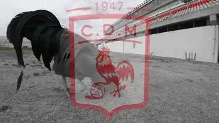 1947 &ndash; GalloT Mc aka  GabiLon G X @tulymsc  (Club Deportivo  Mor&oacute;n) Dale Gallo♪ - Video Oficial
