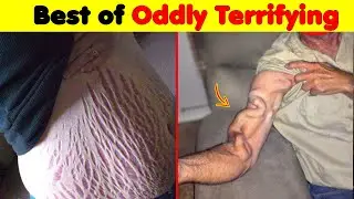 The Best of 100% Real Scary Photos