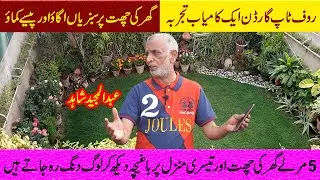 Roof Top Gardening in Pakistan A Beautiful Garden on roof top Small House|Mittar tv lahore pakistan