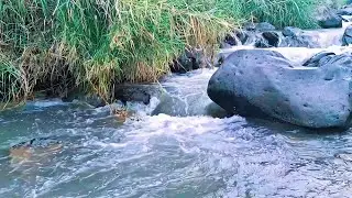 Calm River Flow for Bedtime Relaxation
