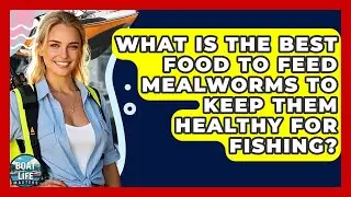 What Is The Best Food To Feed Mealworms To Keep Them Healthy For Fishing? - Boat Life Masters