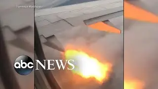Plane passengers see flames after bird strike l ABC News