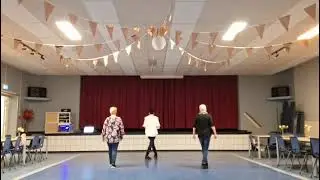 Texas 2 Step Line Dance