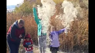 Cattails are Awesome