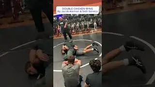 DOUBLE CHICKEN WING
