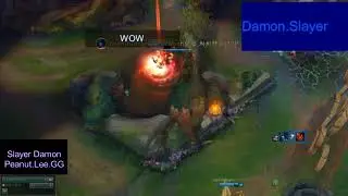 Peanut Lee Sin MONTAGE