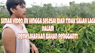 Perbedaan bahan yang tumbuh di bulan 10 sampai 3