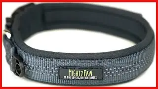 Mighty Paw Neoprene Padded Dog Collar, Reflective Running Dog Collar, Premium Quality Sports Collar