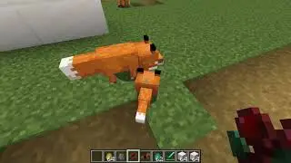 Minecraft snapshot 19w08a dyeable leather horse armor