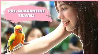 Pre-quarantine Travel Vlog | Empress Schuck