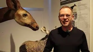 150 Jahre Naturkundemuseum