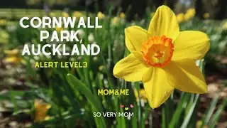 Quick Walk in CORNWALL PARK, Auckland (Alert Level 3)