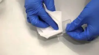 Loading a Hemacytometer for Manual Cell Count