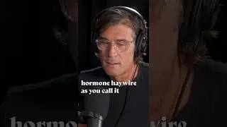 Гормоны и потеря веса | Нил Барнард, доктор медицины
