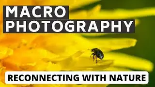 Macro Photography Can Change Your Outlook On Life!