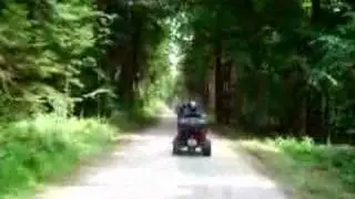 Quadtreffen
