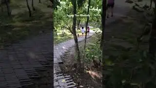 Jogging at New Clark City