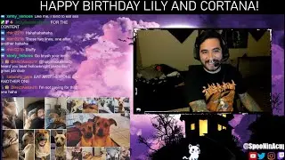 SpooNinAcup Twitch highlights. Birthday shenanigans for my dogs.