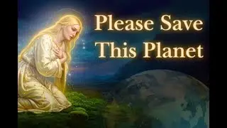 Please listen to me, please, for once. Go vegan! | URGENT MESSAGE
