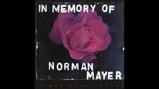 The Norman Mayer Group - Alkaline