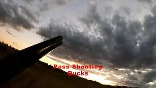 Pass Shooting Ducks
