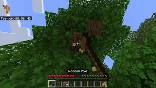 Minecraft chat&chill