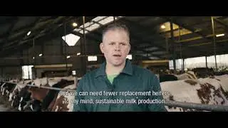 Reaching a lifetime production of 50,000 kg milk per year: how did farmer Peer Claassen achieve this