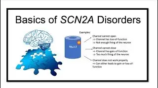 Basics of SCN2A disorders - Dennis Lal