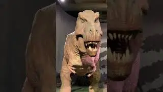 Animatronic Tyranosaurus Rex (T-Rex) Dinosaur