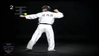 Poomse 2 Taegeuk Yi Jang [En Espa&ntilde;ol][HD]