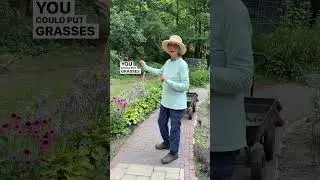 How To Create A Pollinator Garden For Full Sun