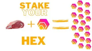 How To Stake Hex On The Staker App Easily For Times 10 Gains