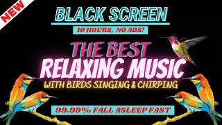 Relaxing Music with Birds Chirping, Singing Sounds in Black Screen Sleep Music, 10 hours Dark, ASMR