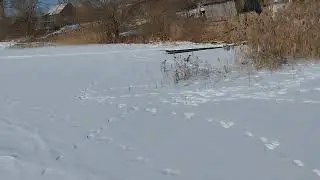 snow-covered lake walk