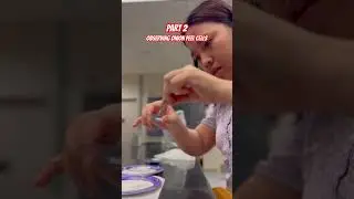 Part 2: Observing Onion Peel Cells #learningscience #experiment  #microscope #cells #learning #cool