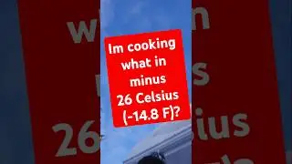 I'm cooking what in minus twenty-six  Celsius? (-14.8 F) #canadian #pelletgrill #porkchops