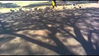 suzuki swift vs honda city type Z(SDC kenjeran).mp4