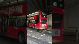 LJ19CUA BDE2616 BYD Enviro 400 EV City on route 43 terminating at London Bridge Station