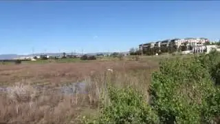 BALLONA WATERSHED FLY-OVER IS A BIRD'S EYE VIEW OF A NEW VISION FOR LOS ANGELES - 10 MIN