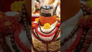 #lordshiva #lordshivastatus #shiva #omnamashivaya #lordshivastatus#om #arunachalaeswarar #mahadev