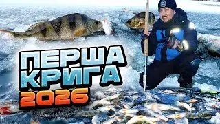Ми ризикнули першими! Божевільний окунь на тонкій кризі в Києві 🔥🎣
