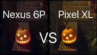 Google Pixel XL vs Nexus 6P Camera Test 