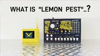 Lemondrop and West Pest Synth Combined: Complex Sounds - Simple Interface