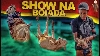 Ele Deu Show na Boiada pesada