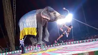 Natraj Circus