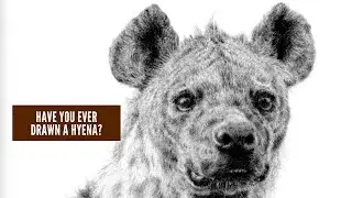 Have you ever drawn a hyena?