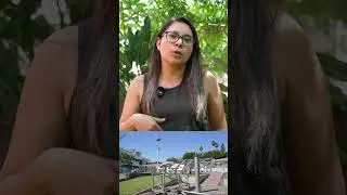 C&oacute;mo Grupak impulsa a j&oacute;venes talentos en sostenibilidad energ&eacute;tica
